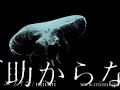 ???? / miimi