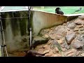Loutres du Zoo de Montpellier