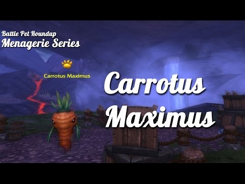 how to beat carrotus maximus