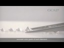 CDEcommerce Video Provided by IDS-GCAL CDEcommerce Video Provided by IDS-GCAL