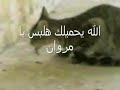نحف شوف مروان الاسد يا عيني علي مدرب مع خبره اسئلو جمعه عنوا