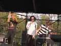 Final Fantasy (O. Pallett) & Dan Bejar - An Actor's Revenge
