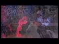 videos de Tetsuya Komuro - Flame ~ Falling Blossoms