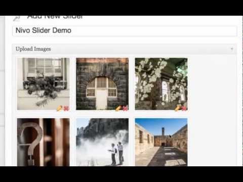 how to nivo slider wordpress