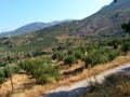 View from Mycenae