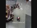 AIBOT in autonomous mode