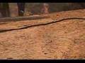 Assistir ao v�deo