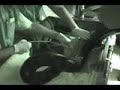 Anaconda Pregnancy Ultrasound