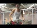 Gnar Trailer Gnar Trailer