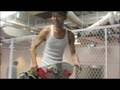 videos de Gnar Trailer