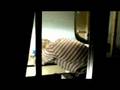 Yakkety-Yak Making Of