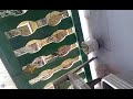 Angry screaming neighbors (NSFW)