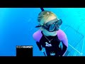 GoPro: A Blonde and a Great White Shark