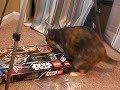 Lucy and the Lego Box