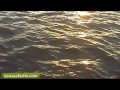 Pesca de Surubíes en Itá Ibaté (4-4) - Zona Safari TV Pesca de Surubíes en Itá Ibaté (4-4) - Zona Safari TV