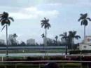 Horse Racing at Gulfstream Race Track and Casino in Florida