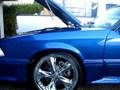 videos de mustang