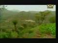 /علي-الآنسي----خطر-غصن-القنى.htm/