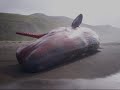 Solitary Ground of the Whales