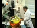 Beyond the Bean  Soybean Genomics - Part 1