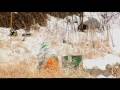Ezra Jacobson | Bald E-Gal Productions | 2008