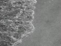 Summerwind
