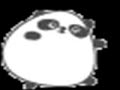 PANDA DANCE! :D!!!! PANDA DANCE! :D!!!!