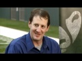 Ram Report with Steve Fairchild 11/29/11 Colorado State University (Part 2)
