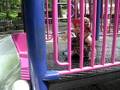 FIB_playground3.AVI