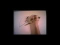 Dabbling in Stop Motion Dabbling in Stop Motion