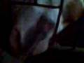 videos de picasso in his straight stall