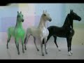 Peter Stone Chips Model Horse Collection (not Breyer)
