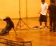 bboy osorno 2008