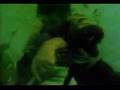 Split Enz - Dirty Creature