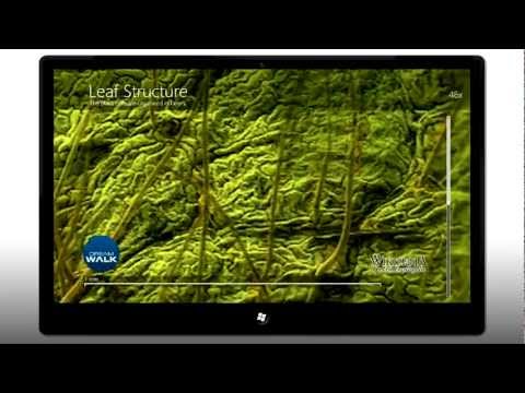 YouTube Preview Image