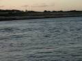 videos de Cyber 370 [carden 88] - 30th September 2008 - Testing
