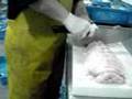 UNIPEIX-LIMPIEZA RAPE-FISH-POISSON