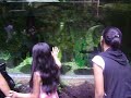 engel ocean park adventure