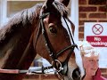 KAUTO STAR & RUBY WALSH = 2 SUPERSTARS.wmv
