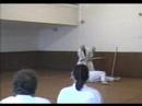 Yoshinkan Aikido Brno - Seminar in Borkovany