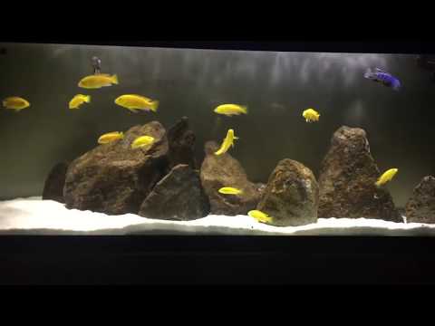 video-linktoworks-HOW TO: Lower Temperatures | Increase Oxygen in...