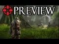 Kingdoms of Amalur: Reckoning - Abilities & Destinies Preview