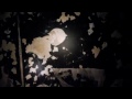 Alexander Wang Video Campaign Fall 2010, Craig McDean