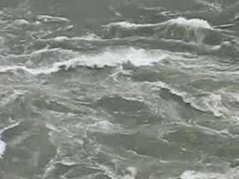 The Whirlpool