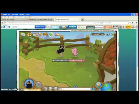 Animal Jam Member Usernames and Passwords