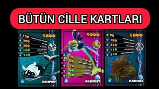 BÜTÜN CİLLE KARTLARI