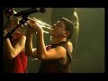 la goutte au nez, 11 fevrier 2007, live nuit saugrenue (tours). film� par les tontons filmeurs, et mont� par philippe lecat.mixage 