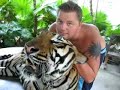 Tiger in Thailand Phuket