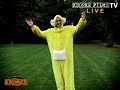 Kurt Krömer - DVD