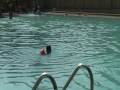ahran swimming lesson
